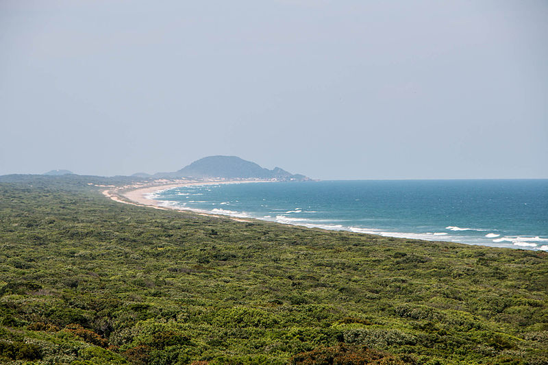 Acarai – Junto_ao_Oceano (1)