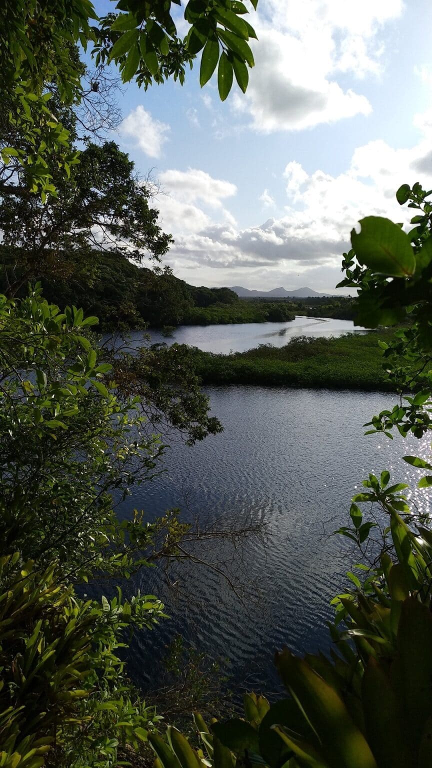 Parque-Estadual-do-Acarai-Galeria-02-864x1536