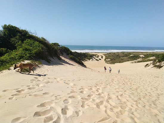 dunas
